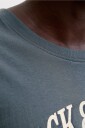 Jack & Jones Plus   T skjorte Jjedenver Logo Tee Ss O Neck Sn Pls   Grå