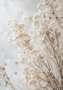 Soft Whispers of Dried Wildflowers in Light Tones Plakat Plakat / 100x150cm