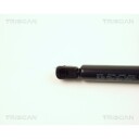 Gassfjær, panser TRISCAN 8710 23107