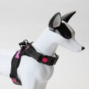 LEO-K9 hundesele i pustende air mesh materiale