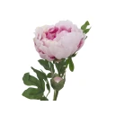 EUROPALMS Peony Branch Classic pink 80cm