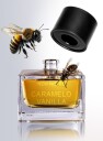 New Notes Caramello Vanilla New Notes Extrait De Parfum 50ml