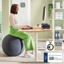 Leitz - Ergo Balance ball anti-roll-away 55cm - Dark grey