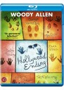 Hollywood Ending Bluray