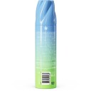 DAISE Foaming Body Wash Coconut 250 g