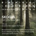Skandinavisk Skog duftpinner 200 ml