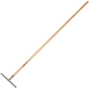 Galax rive, 12-tann/30,5 cm