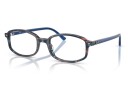 Briller Sam fra Ray-Ban Havana Acetate oval Medium