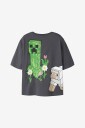 Name It   T skjorte Nkfsyssi Minecraft Ss Nreg Top Bio   Grå