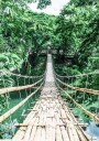 Bamboo Hanging Bridge Plakat Plakat / 70x100cm