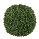 Mr Plant Buxbom Ball Grønn 60 cm