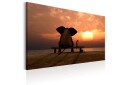 Tavle Evening Rest 60X40 Artgeist sp. z o. o.