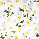 Borg Living Tekstil voksduk med akrylbelegg   Blomstrende Tusenfryd   140 cm bred   På metermål