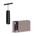Philips Hue Perifo skinnependel, svart