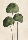 Green Leaves with Delicate Veins Poster Plakat / 21x30cm