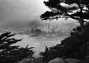 Foggy Morning Central Coast Plakat Plakat / 100x150cm