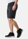 Swedemount Training Logo Shorts II