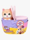Little Live Pets Mama Surprise Mama Kitty Playset Multi/Patterned One Size