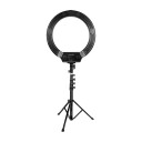 Dacota Platinum ringlys med stativ 19"