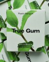 True Gum Mint & Matcha