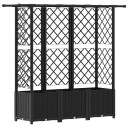 vidaXL Hevet Bed med Trellis og Tak Svart 163,5 x 40 x 136 cm PP
