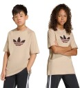 Adidas Originals T skjorte Gfx TR LO Beige
