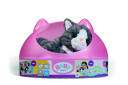 BABY Born My Cat Cookie med eske   837580