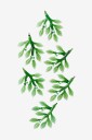 Ellos Home - Hengte dekorasjon Mistletoe 6-pakning - Grønn