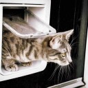 Sureflap Microchip Katteluke Brun 21x21 cm