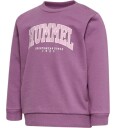Hummel Collegegenser HmlFast Lime Argyle Purple 62 Collegegenser Lilla