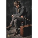 Fabeldyr Plakat Newt Scamander - 91,5 x 61 cm