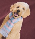 Name It Genser   NmfVotea   Wild Ginger/Skjerf Dog   Name It   4 år (104)   Genser   Bordeaux