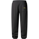 The North Face Expedition Celebration Joggebukser Unisex Grå M