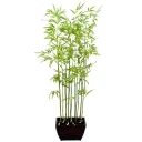 Mr Plant Bambus 160 cm