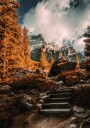 Autumn Wilderness Plakat Plakat / 50x70cm