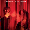 Peter Gabriel  In The Big Room  CD