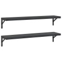 Vegghyller 2 stk 100x23,5 cm svart rustfritt stål