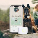 Lildog GPS-Tracker for Hund og Katt med Aktivitetsmåler - Hvit
