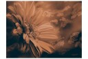 Fototapet Gerbera Bronze 200x154 - Artgeist sp. z o. o.