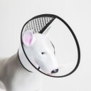 Nakkekrage Halskrage Hund Og Katt Sårbeskyttelse
