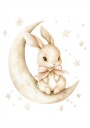 Bunny on the Moon Plakat Plakat / 40x50cm