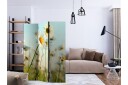 Romdeler Daisies - Spring Meadow - Artgeist sp. z o. o.