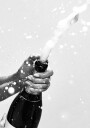 Champagne Bottle Plakat Plakat / 100x150cm