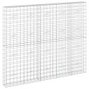 vidaXL Gabion med 5 mm tråd og 10x10 cm mesh 250x20x200 cm