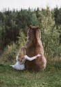 Bear And Women Plakat Plakat / 30x40cm