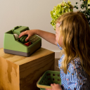 Dantoy Gg Cash Register Set Net - Green - ONE SIZE