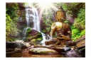 Fototapet Forest Prayer 250x175 - Finnes i flere størrelser