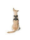 Dog Harness Divo Green Large