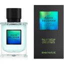 David Beckham True Instinct Eau de Parfum 50 ml - Parfyme for menn
