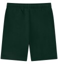 Lacoste Shorts   Grønn   Lacoste   4 år 104   Shorts